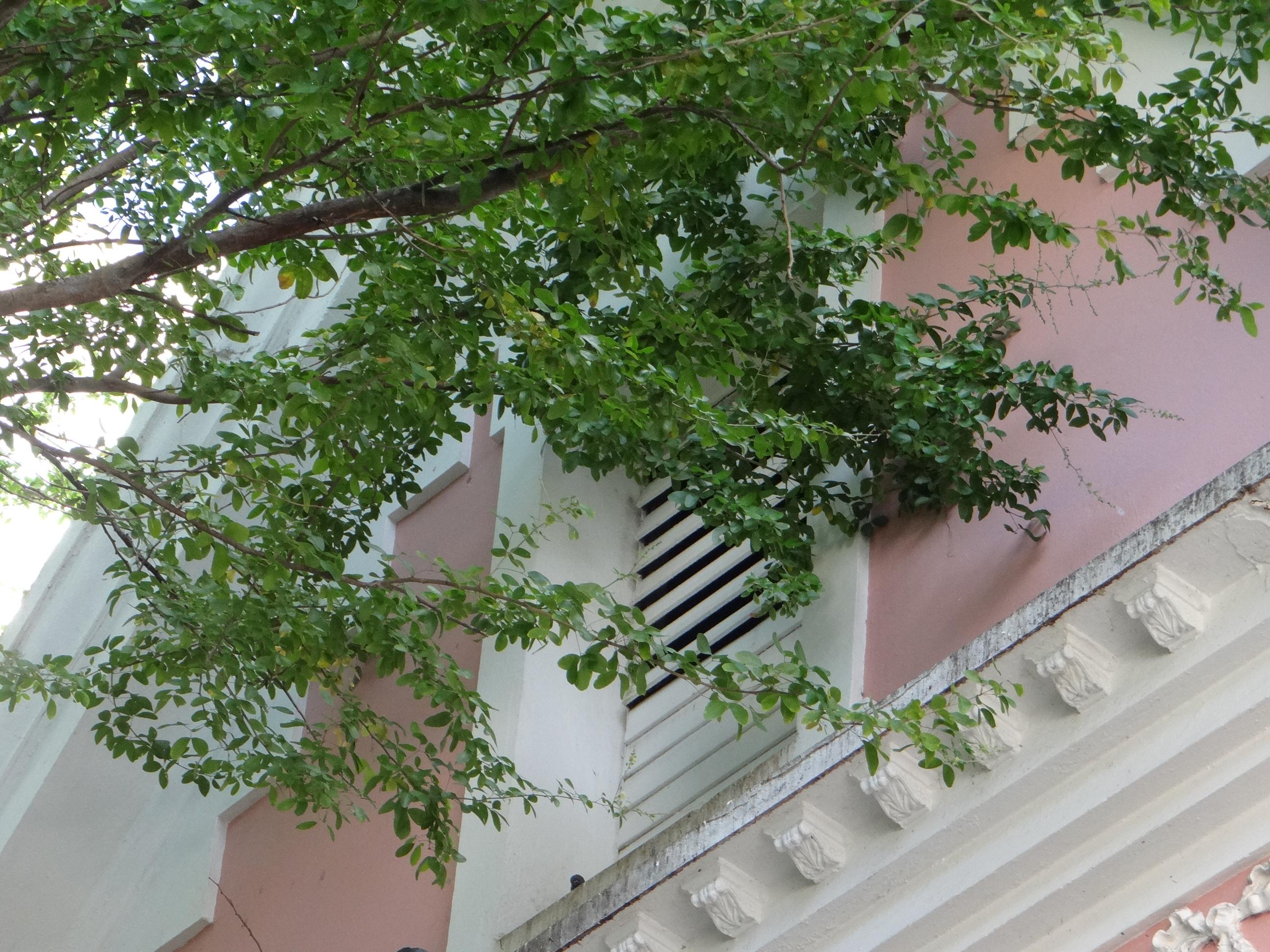 Casa en la Calle Cuevillas 607 - San Juan (Miramar) - 2014 00028